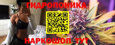 твердый Лесосибирск