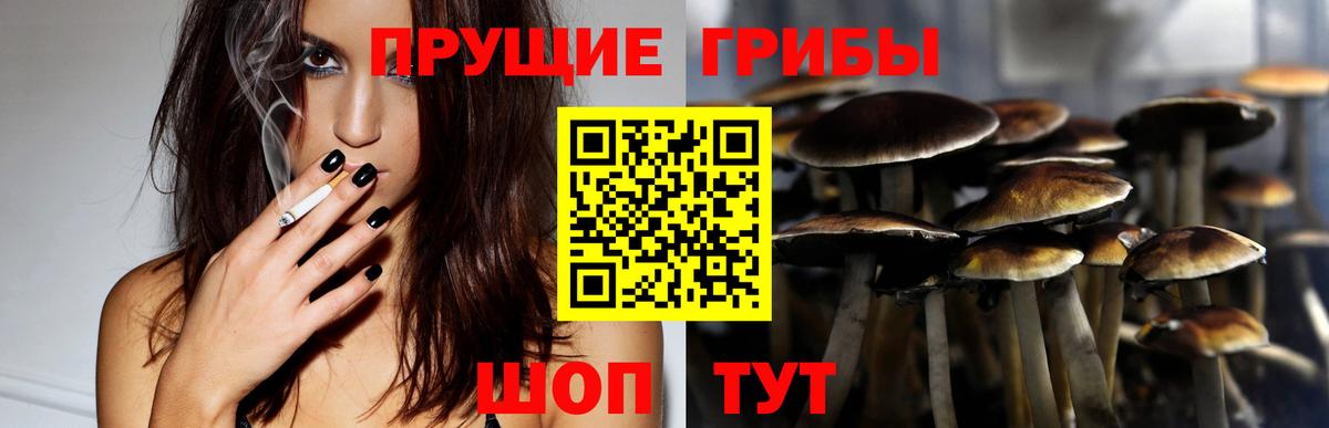Псилоцибиновые грибы GOLDEN TEACHER Хасавюрт
